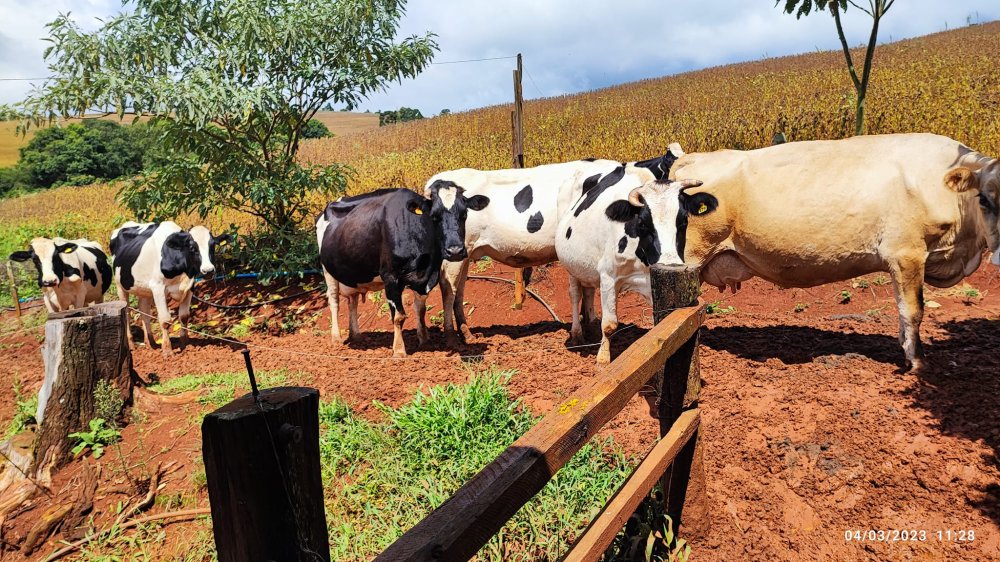 Fazenda à venda, 48400m² - Foto 13