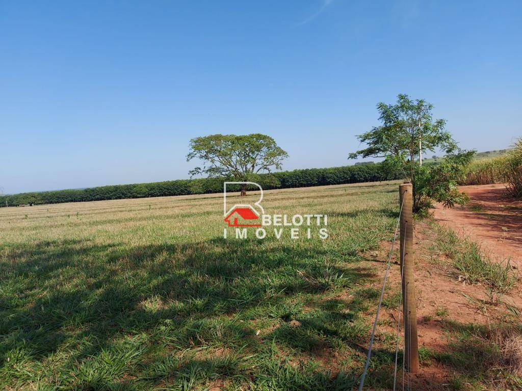 Fazenda, 484 hectares - Foto 13