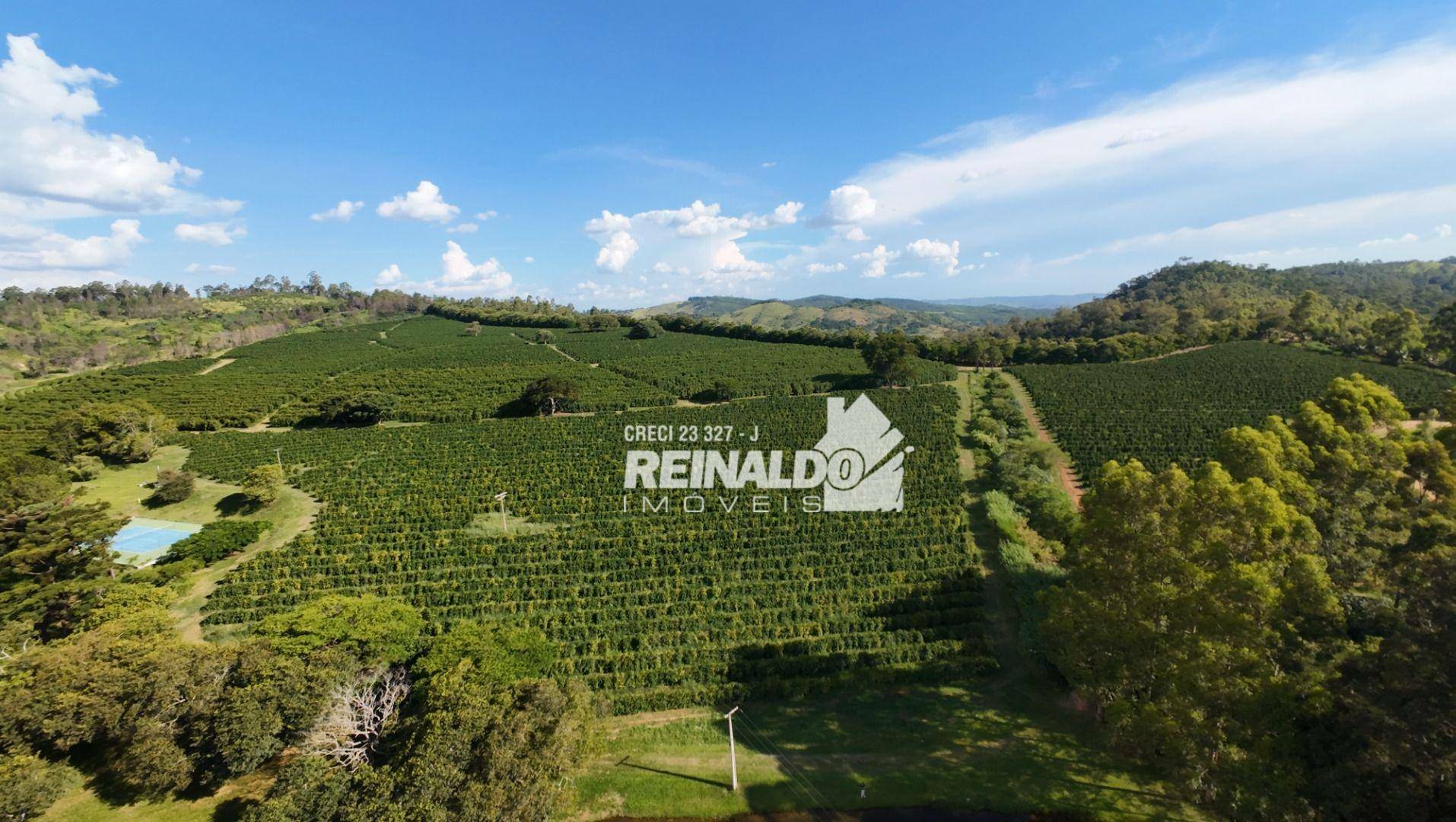 Fazenda à venda com 9 quartos, 5000m² - Foto 11