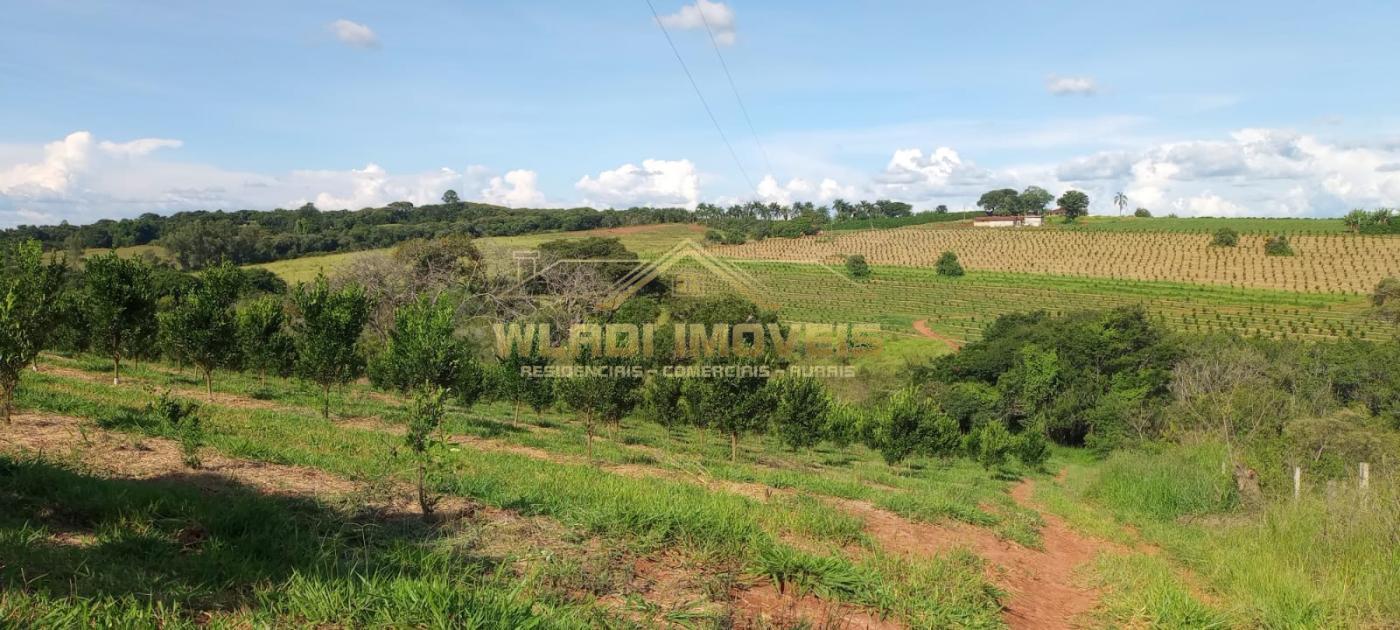 Fazenda à venda, 27m² - Foto 7