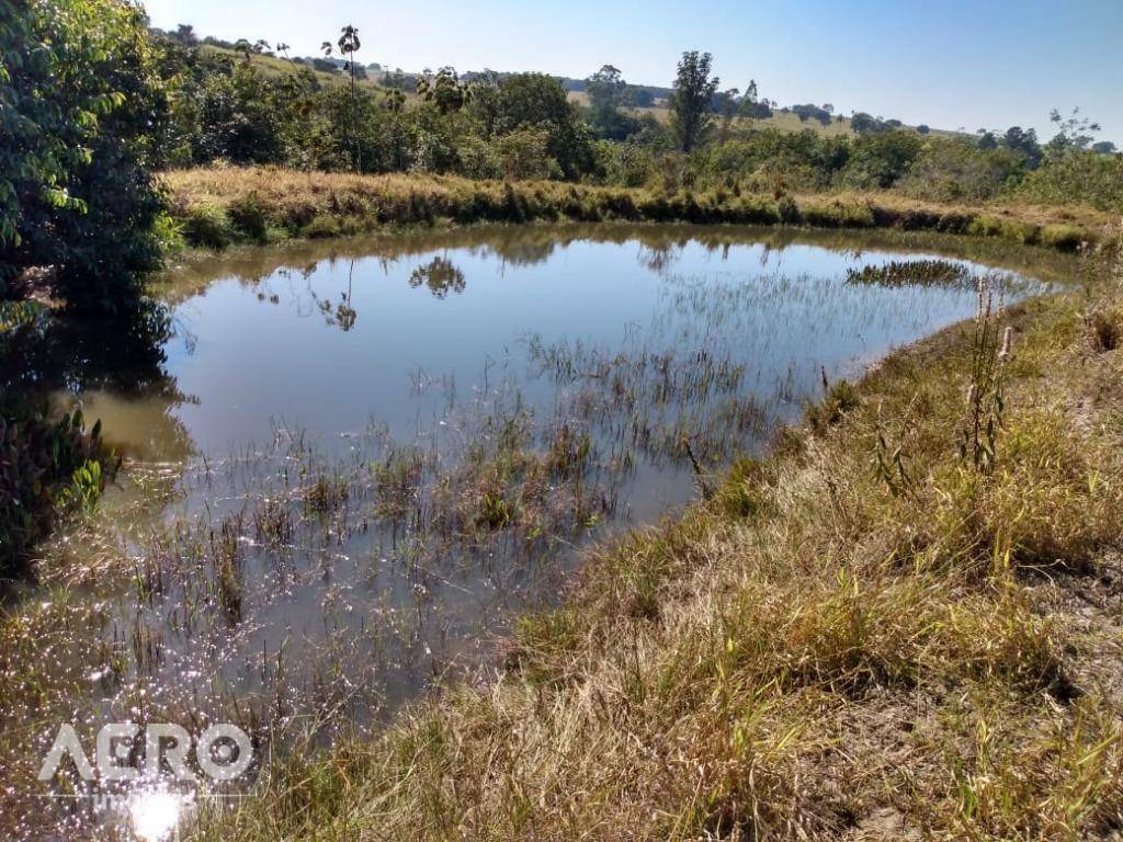 Sítio à venda com 3 quartos, 150m² - Foto 9