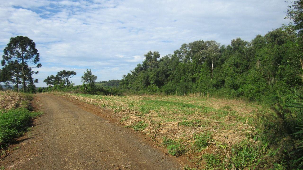 Loteamento e Condomínio à venda, 199000m² - Foto 8