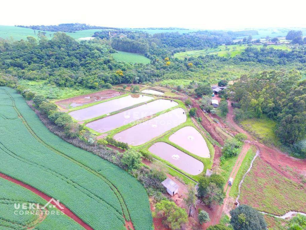 Fazenda à venda, 774400M2 - Foto 6