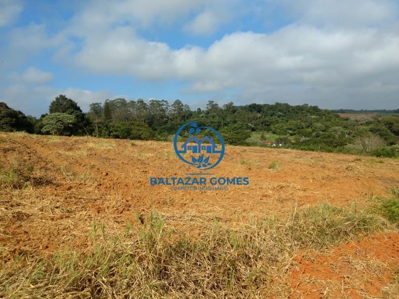 Fazenda à venda com 2 quartos, 20000m² - Foto 6