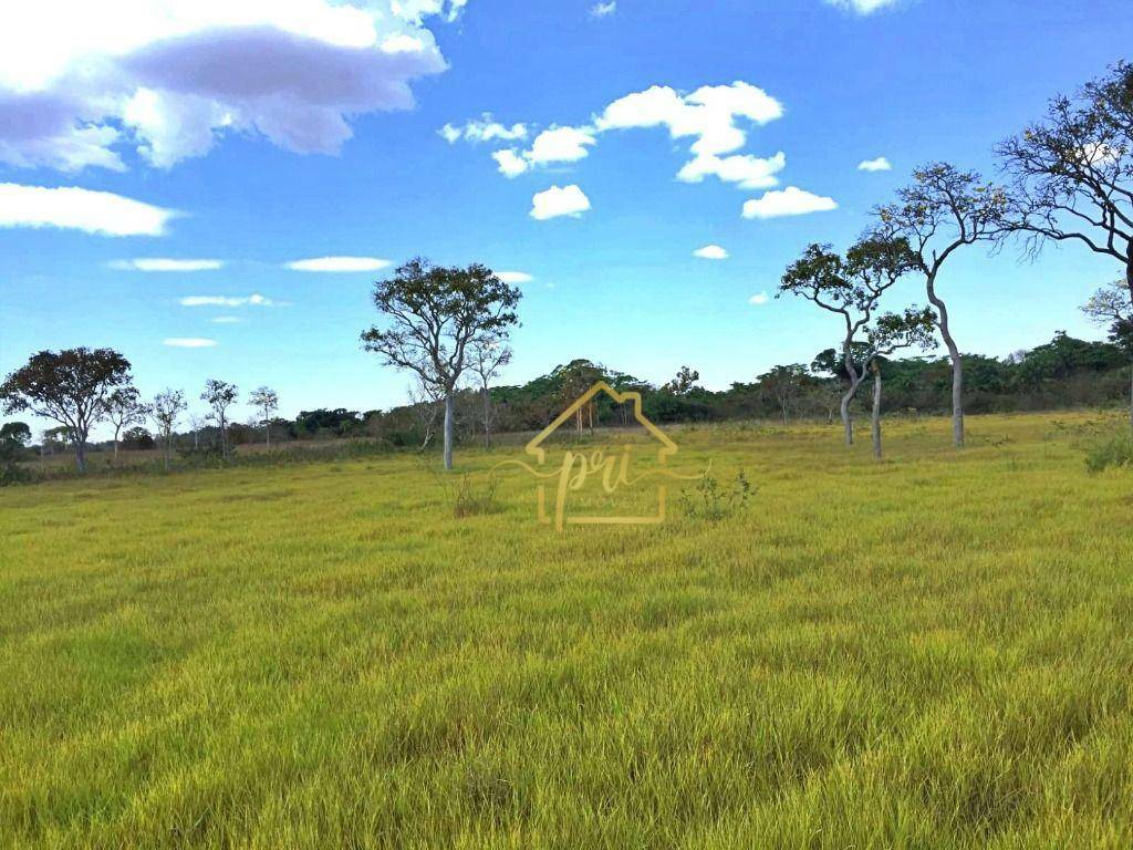 Fazenda à venda com 3 quartos, 250m² - Foto 22