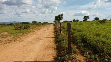 Chácara à venda, 250m² - Foto 6