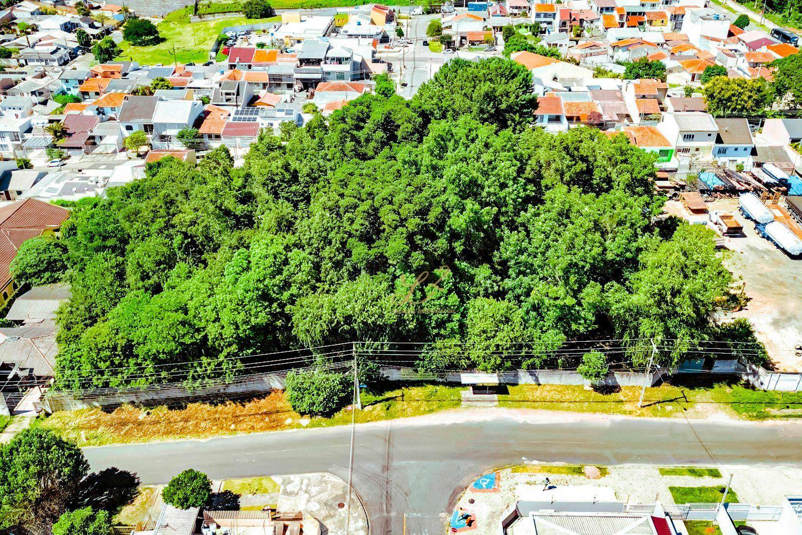 Terreno à venda, 2189M2 - Foto 33