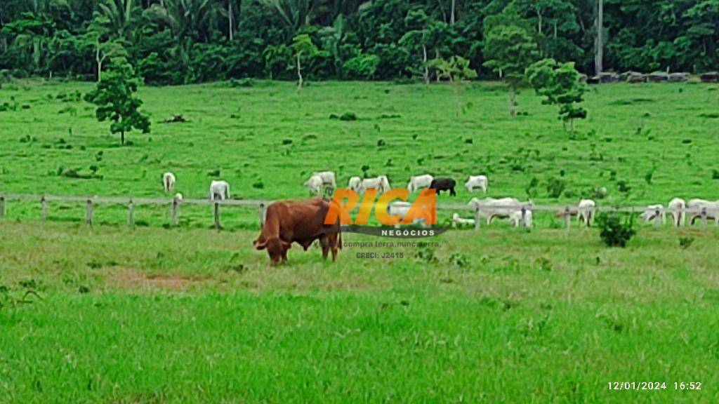 Fazenda à venda, 3300000M2 - Foto 11