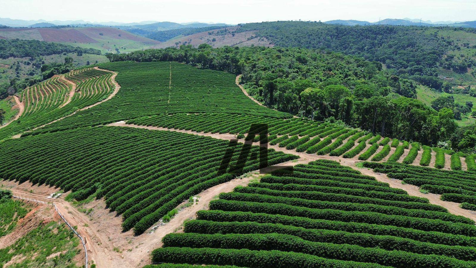 Fazenda à venda, 822800M2 - Foto 24