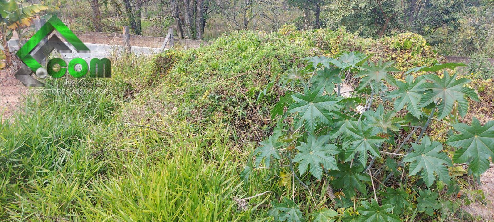 Terreno à venda, 361M2 - Foto 9