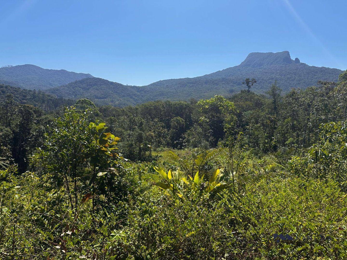 Terreno, 4 hectares - Foto 10