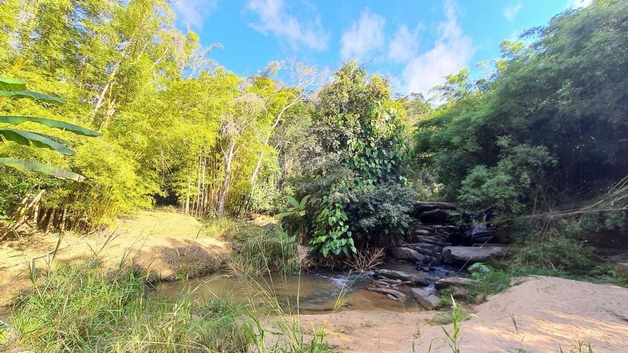 Fazenda à venda com 10 quartos, 371734m² - Foto 38