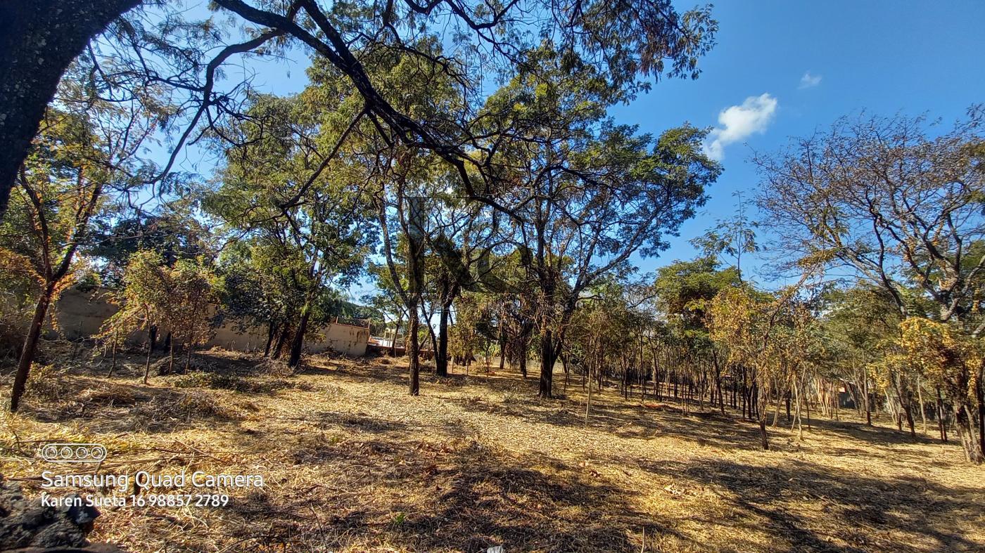 Fazenda à venda, 5850m² - Foto 10