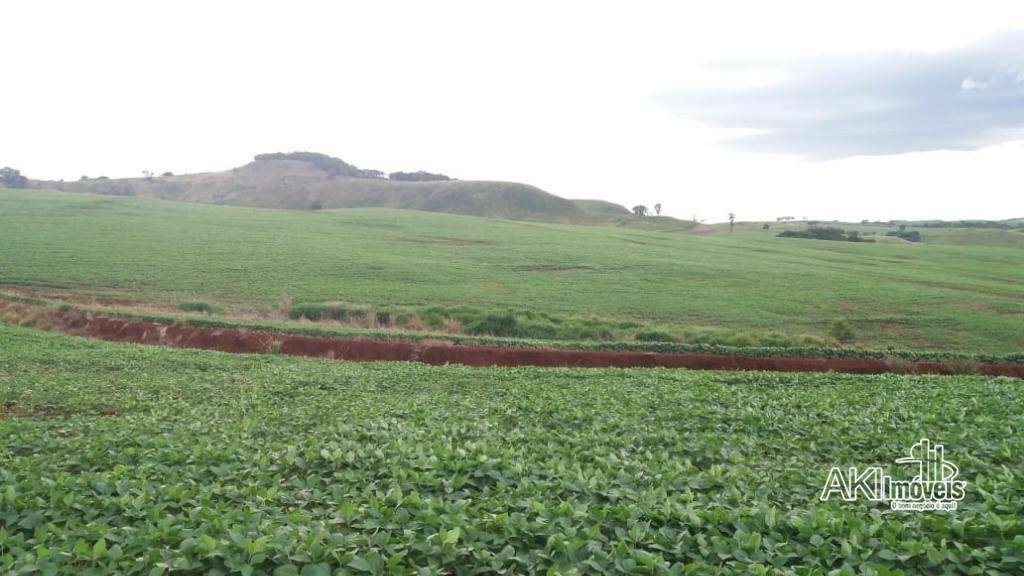 Fazenda à venda com 1 quarto, 2819300M2 - Foto 27