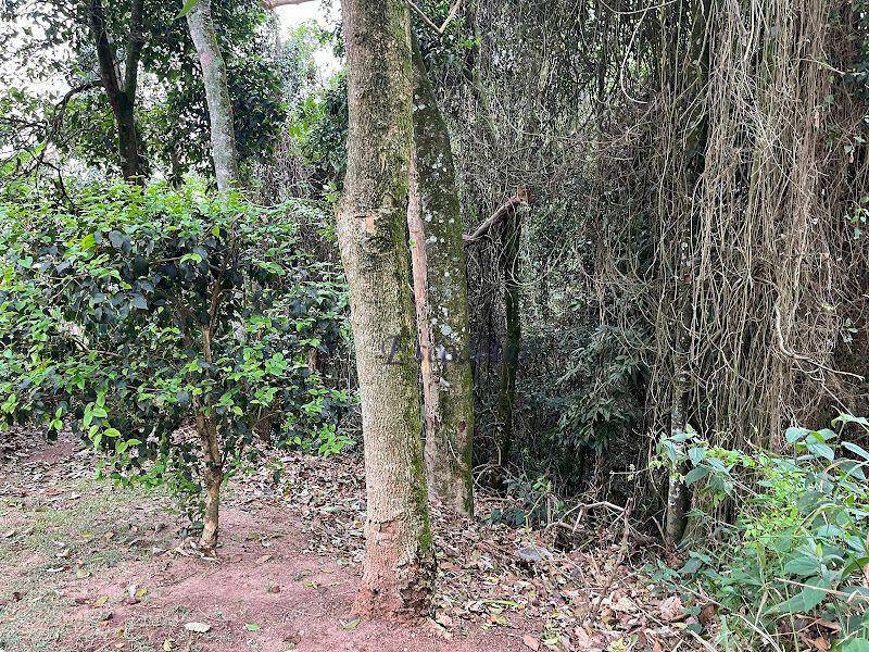 Loteamento e Condomínio à venda, 1459M2 - Foto 7