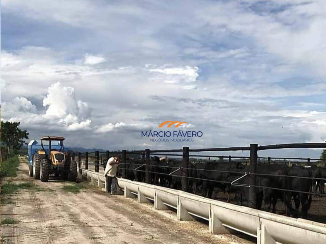 Fazenda à venda, 10841600M2 - Foto 4