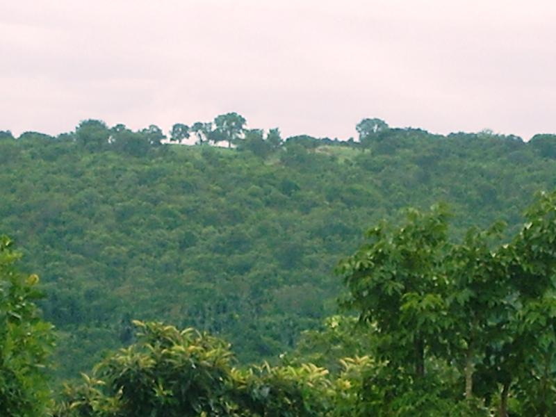 Fazenda à venda - Foto 13