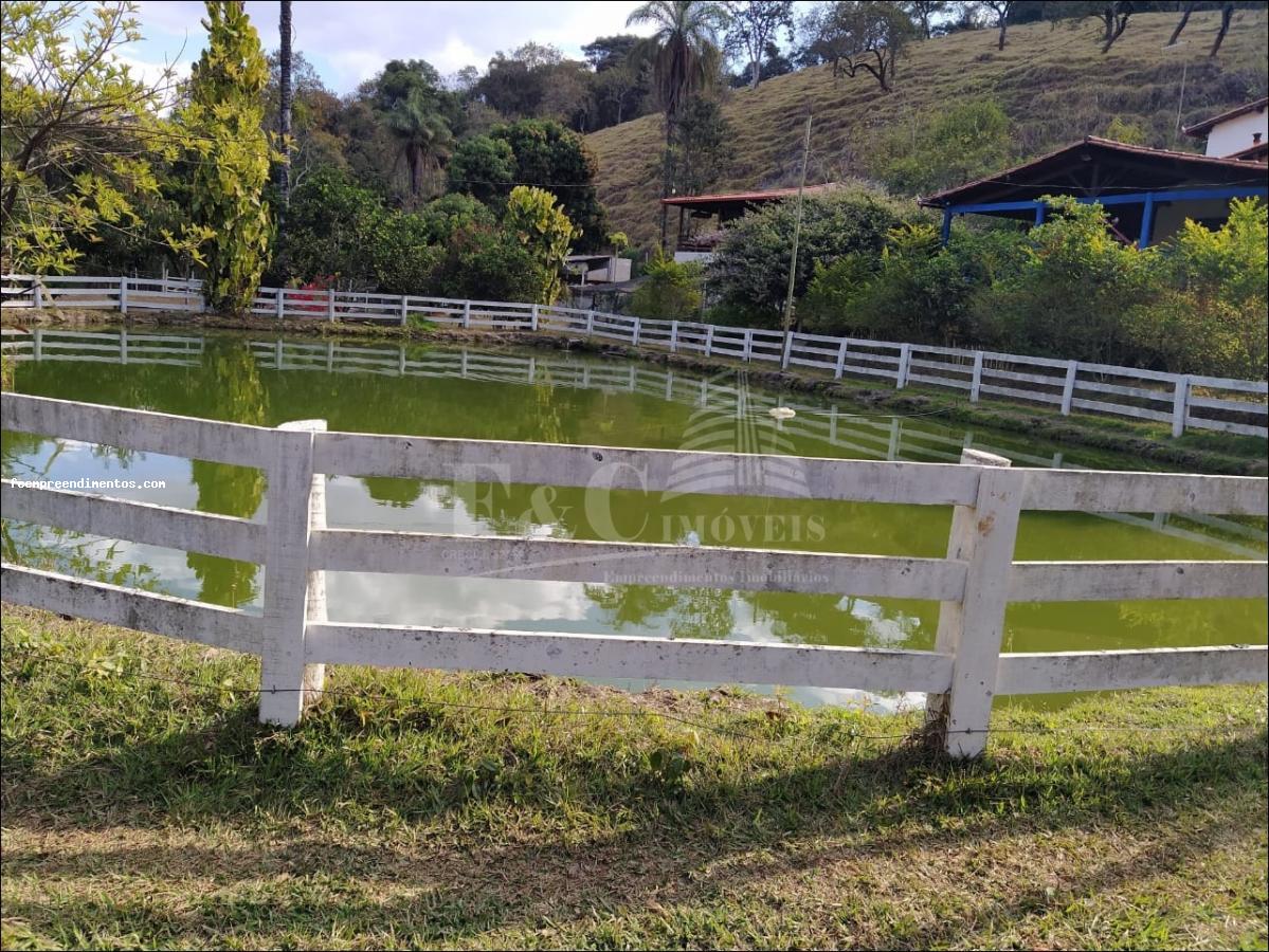 Fazenda à venda com 6 quartos, 53000m² - Foto 11