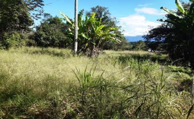 Fazenda à venda com 2 quartos, 18000m² - Foto 9