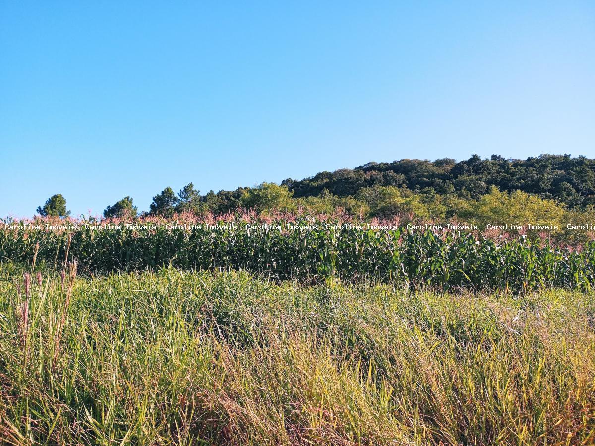 Fazenda à venda com 2 quartos, 50000m² - Foto 14