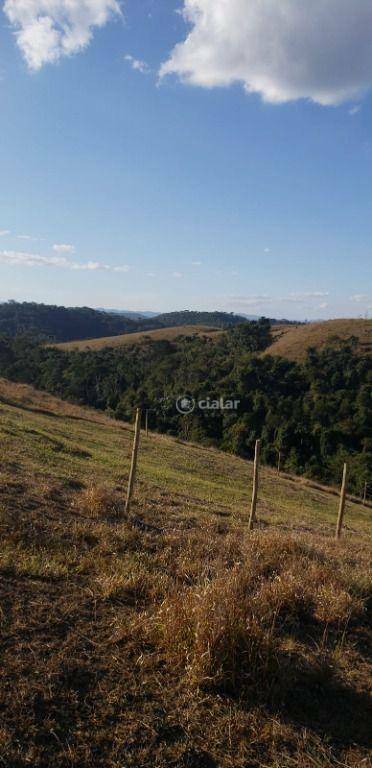 Terreno à venda, 8000M2 - Foto 7