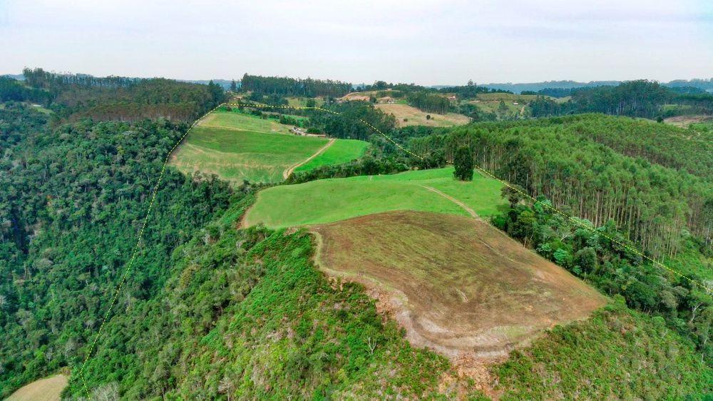 Fazenda à venda com 3 quartos, 205000m² - Foto 7