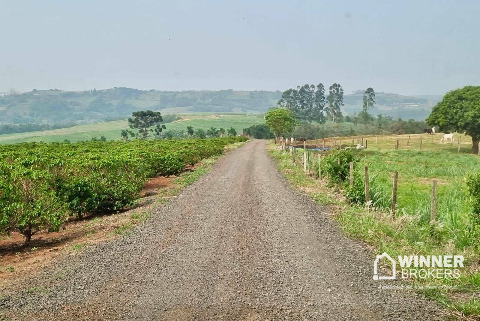 Terreno, 4500 m² - Foto 1