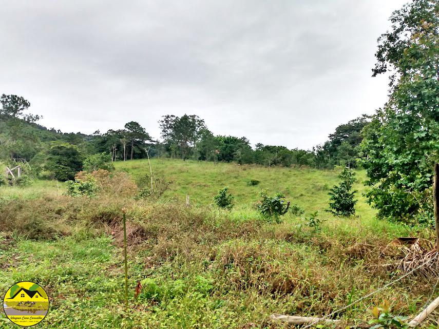 Fazenda à venda com 3 quartos, 30m² - Foto 23