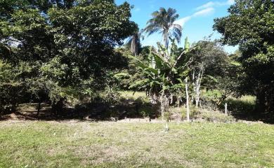 Fazenda à venda com 2 quartos, 18000m² - Foto 6