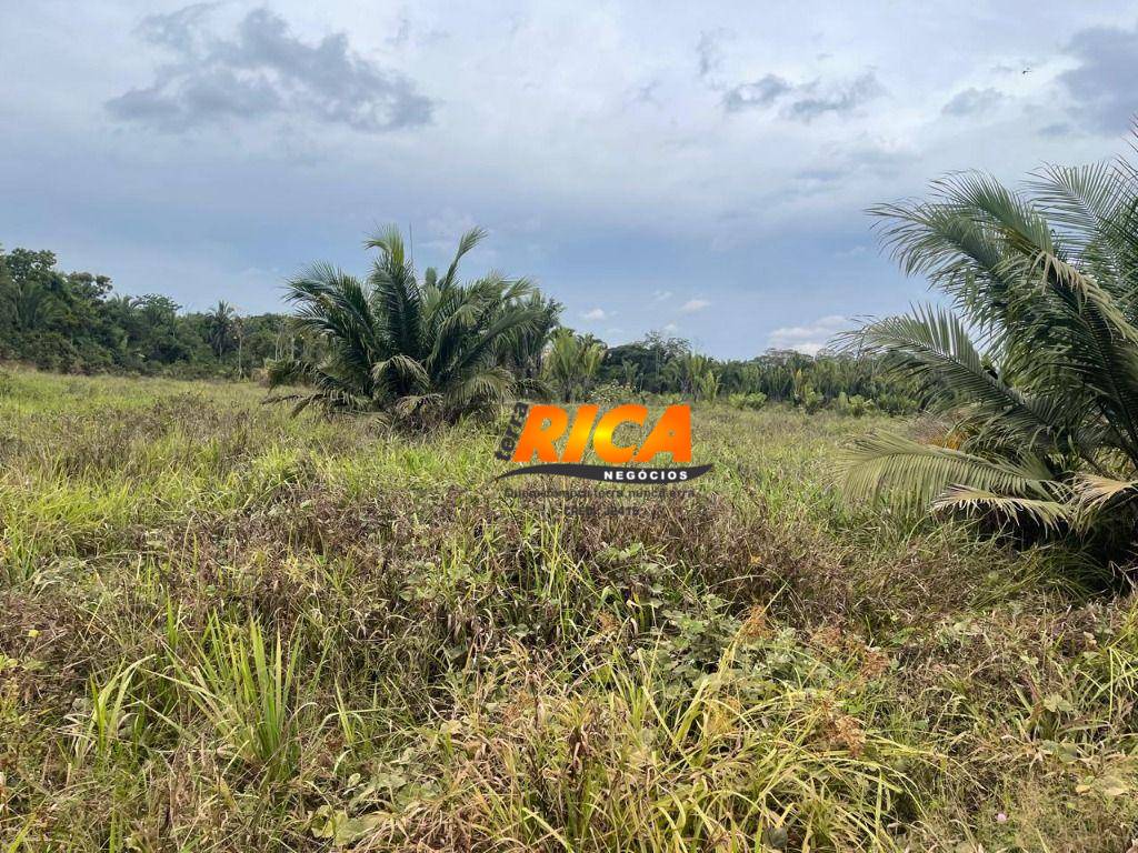 Chácara, 5 hectares - Foto 5