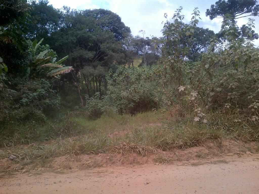 Terreno à venda, 120000m² - Foto 8