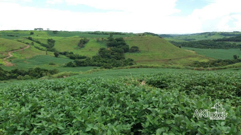 Fazenda à venda com 1 quarto, 2819300M2 - Foto 13