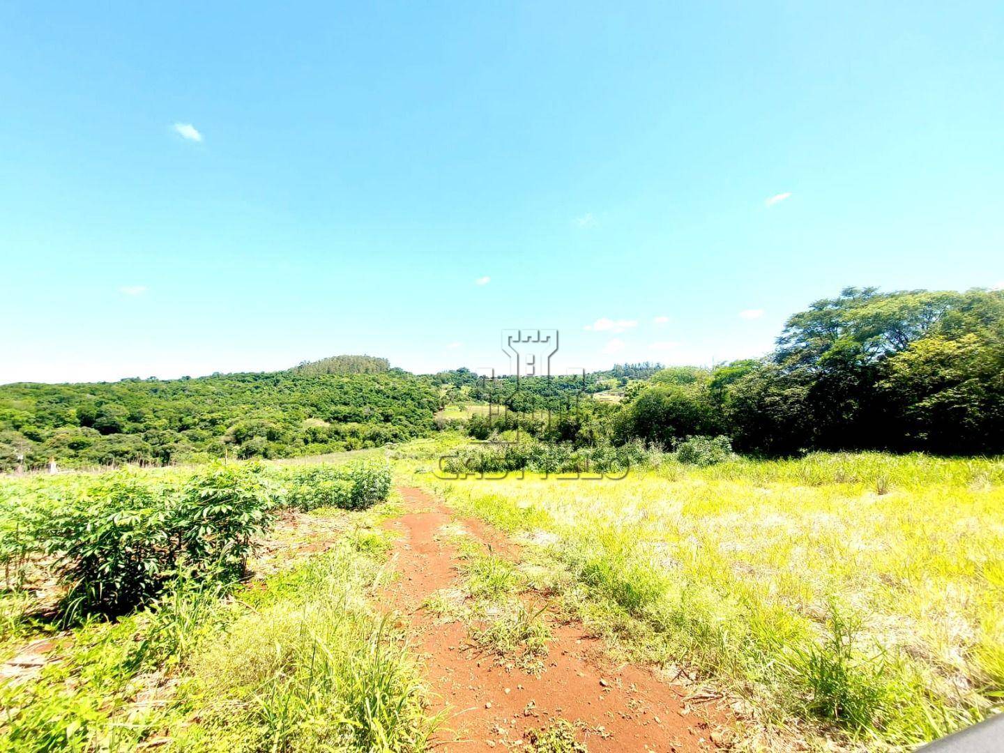 Chácara, 2 hectares - Foto 3