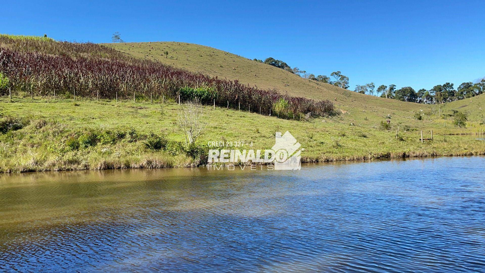 Fazenda à venda com 8 quartos, 900m² - Foto 6