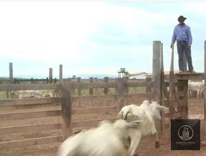 Fazenda à venda, 4270000000M2 - Foto 9