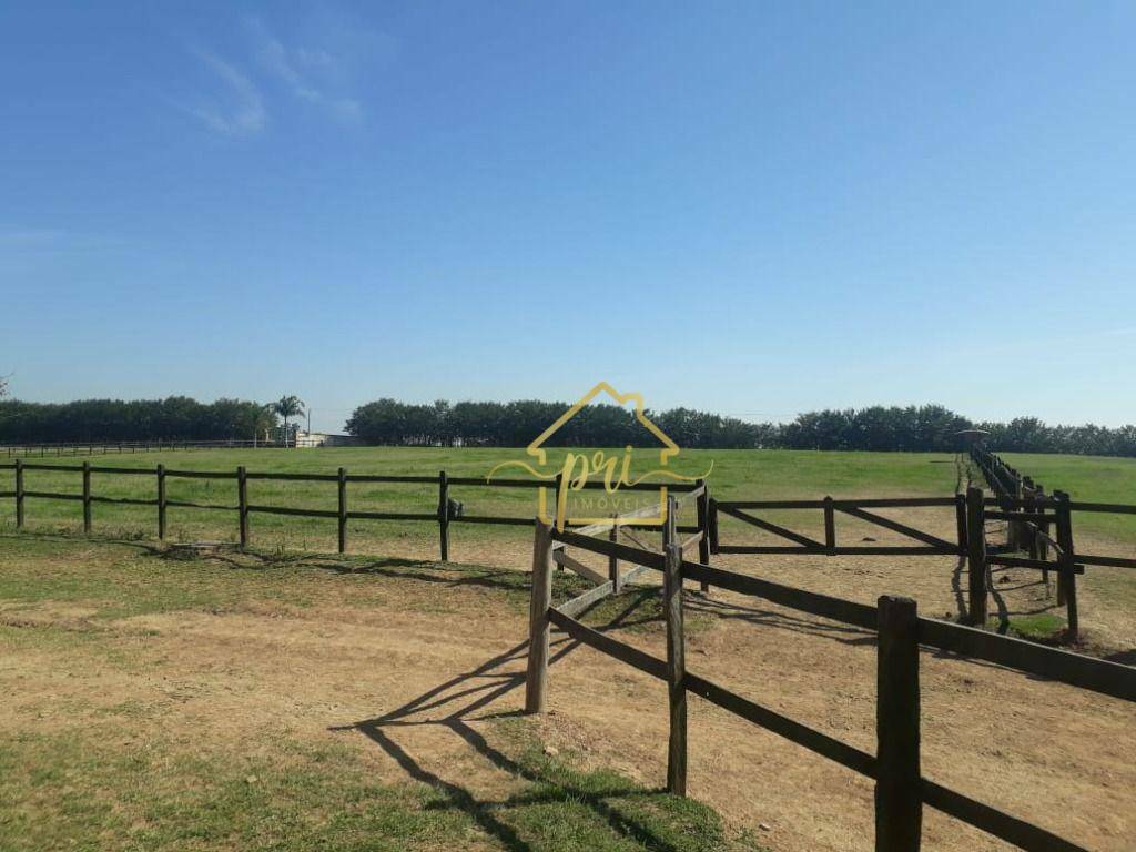 Haras e Área Rural Padrão à venda com 4 quartos, 1000m² - Foto 34