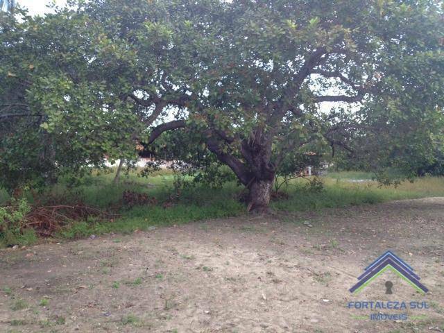 Terreno à venda, 10000M2 - Foto 5