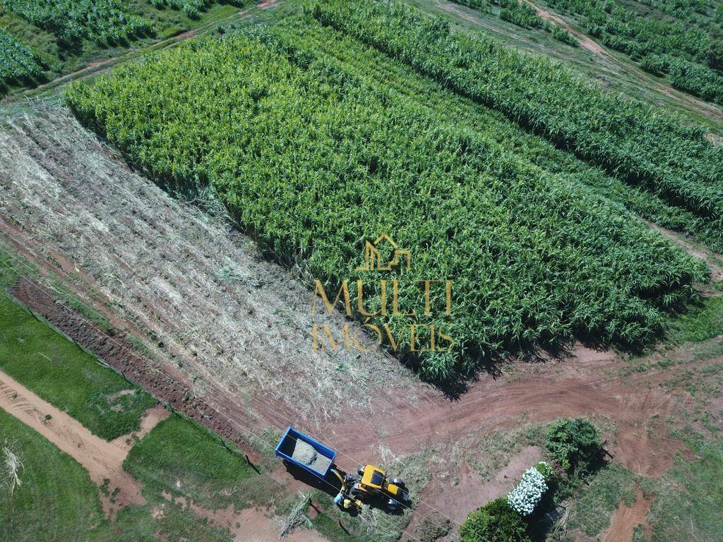 Fazenda à venda com 3 quartos, 2538338M2 - Foto 13