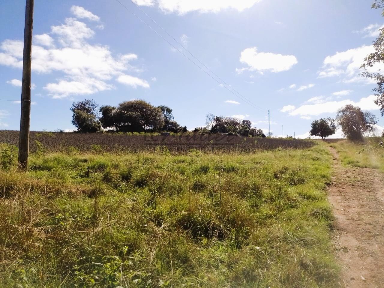 Fazenda-Sítio-Chácara, 50 m² - Foto 3