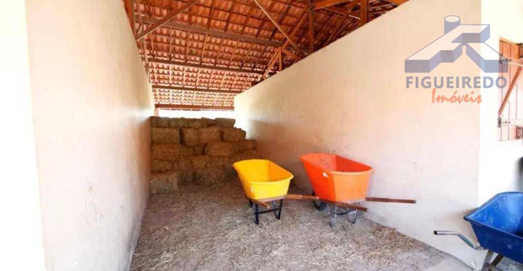 Haras e Área Rural Padrão à venda, 798600M2 - Foto 17