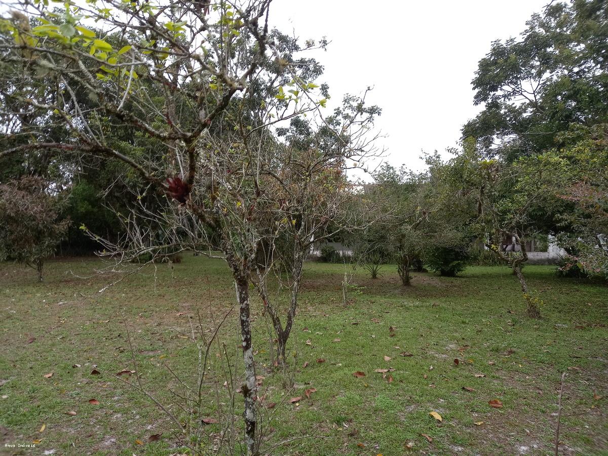 Fazenda à venda com 3 quartos, 5423m² - Foto 8