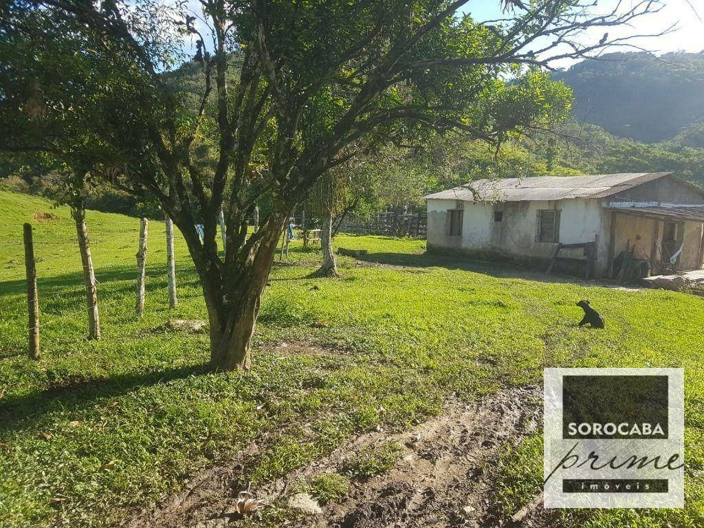 Fazenda à venda, 202000M2 - Foto 29