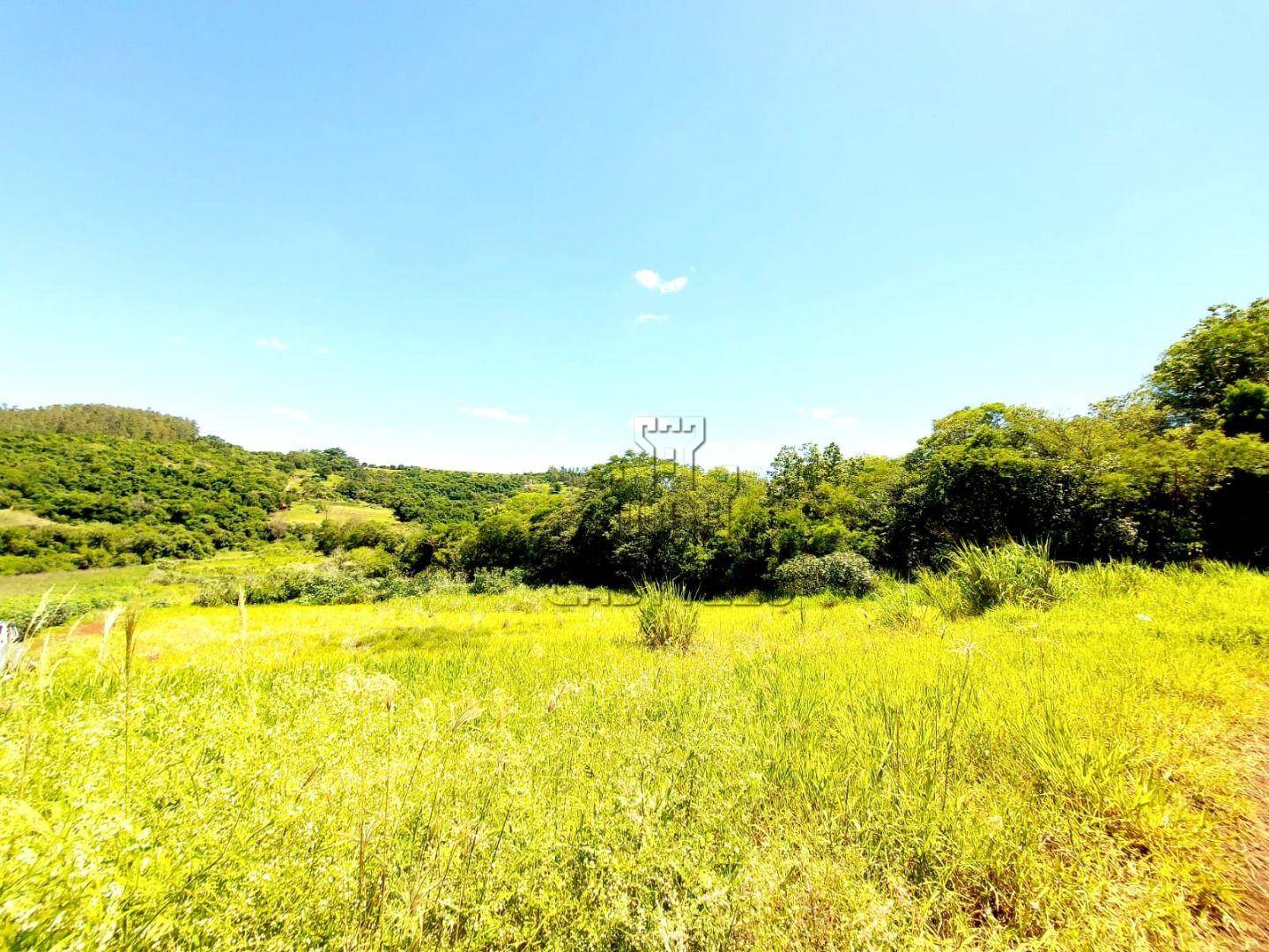 Chácara, 2 hectares - Foto 5