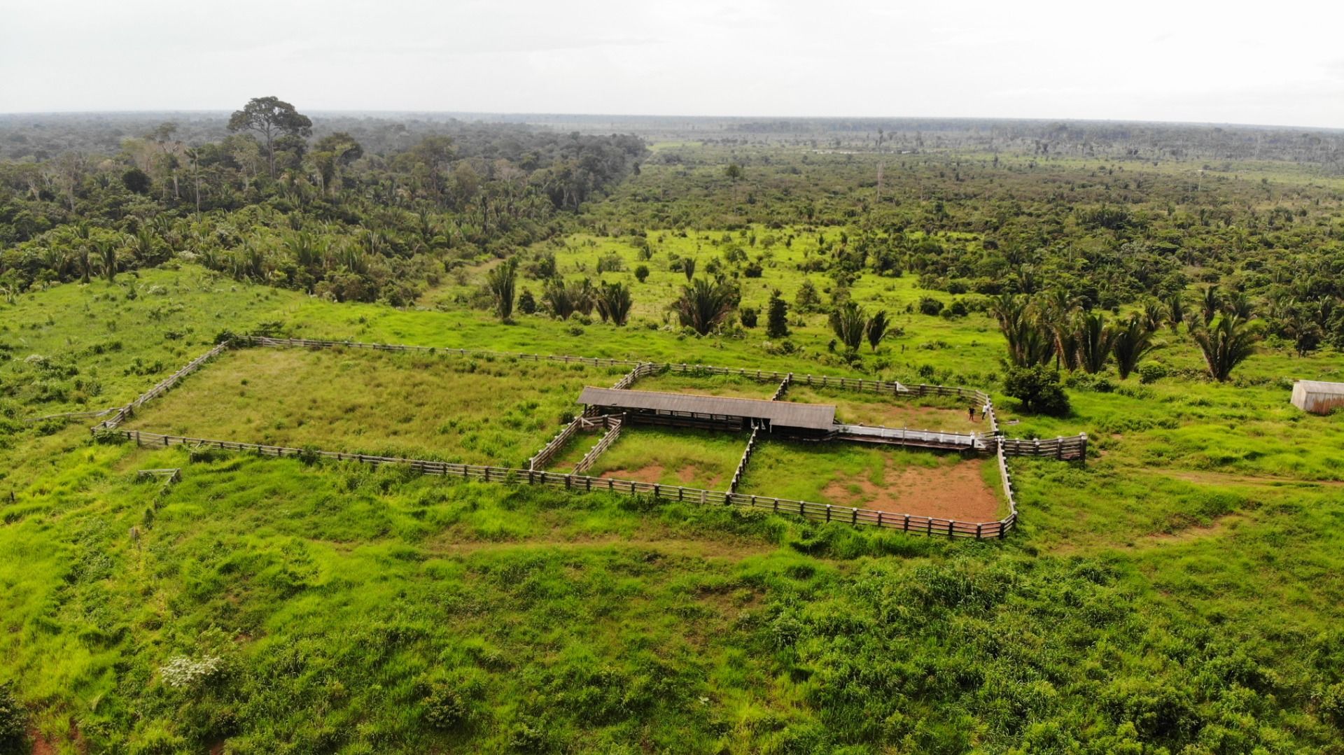 Fazenda à venda, 13648800M2 - Foto 15