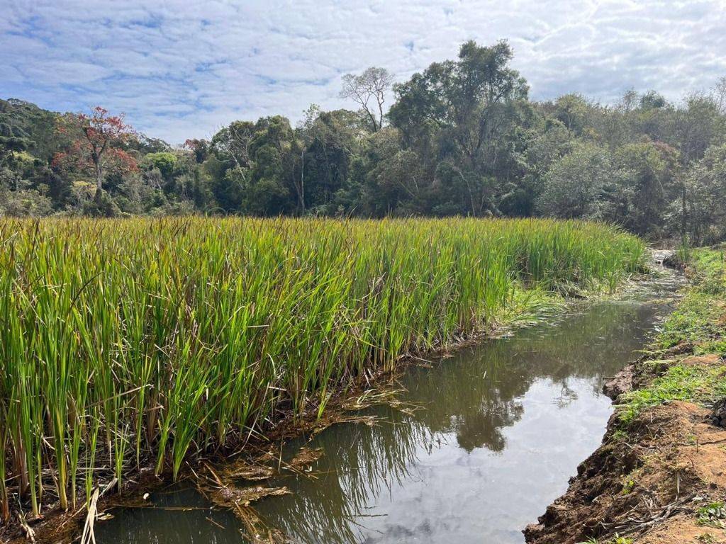 Fazenda, 339 hectares - Foto 21
