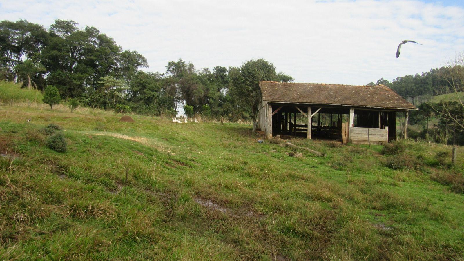 Loteamento e Condomínio à venda, 195000m² - Foto 27