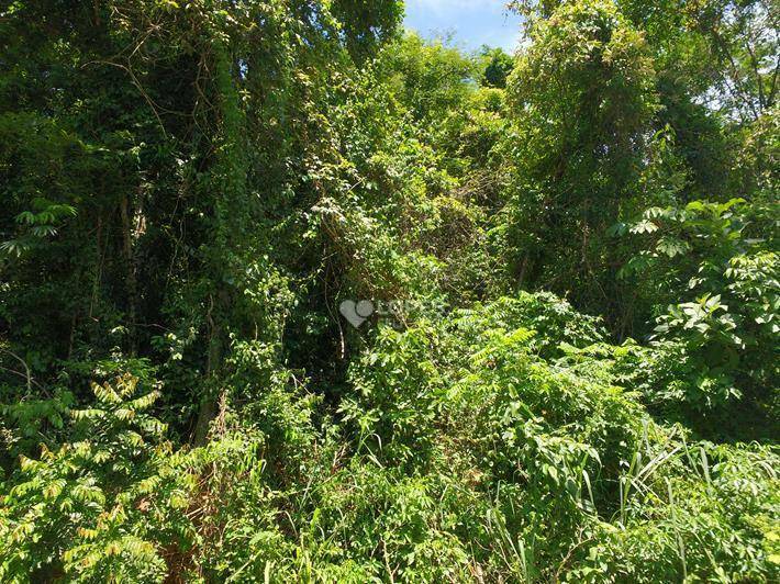 Loteamento e Condomínio à venda, 390M2 - Foto 2