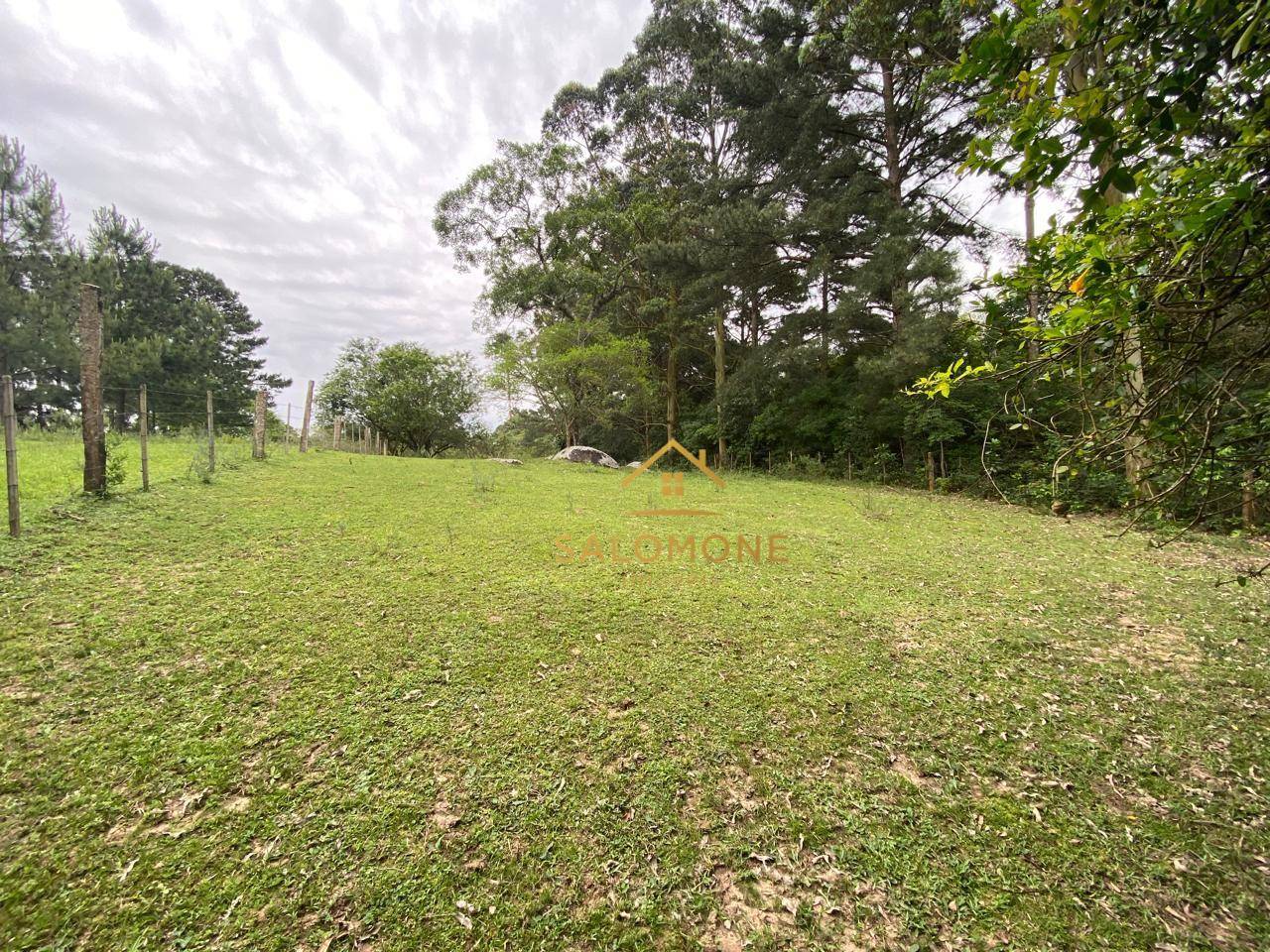 Terreno, 10000 m² - Foto 5