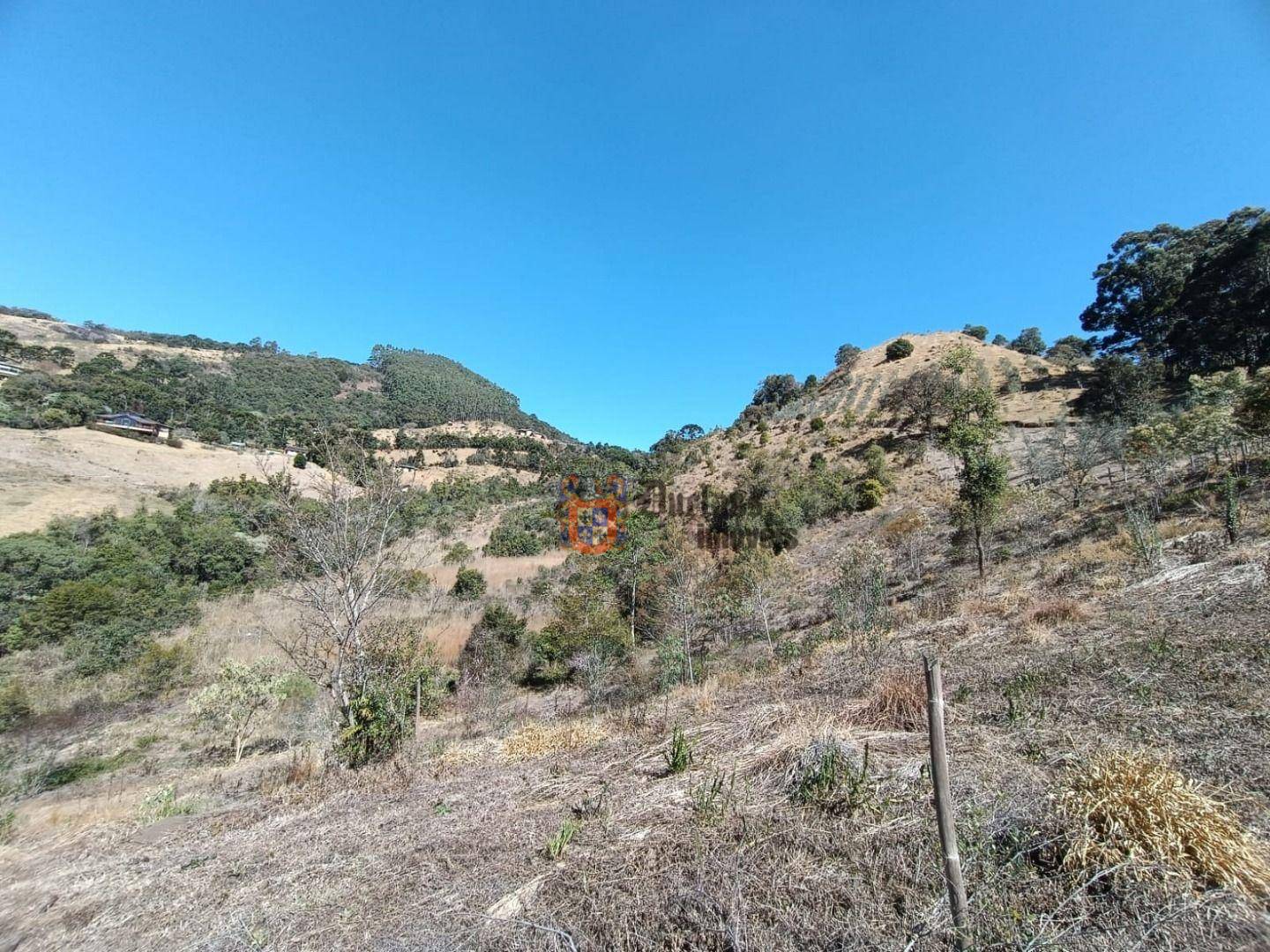 Terreno, 6 hectares - Foto 2