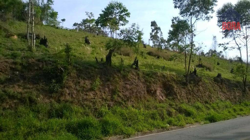 Terreno à venda, 2000M2 - Foto 3